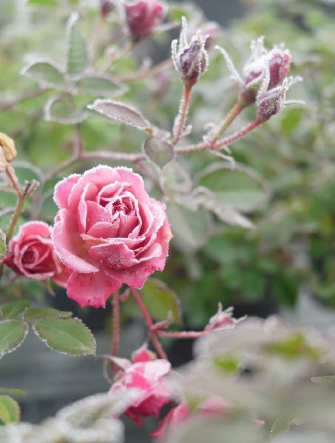 注意微信朋友圈这些内容千万别发,切记这些东西不能发到朋友圈