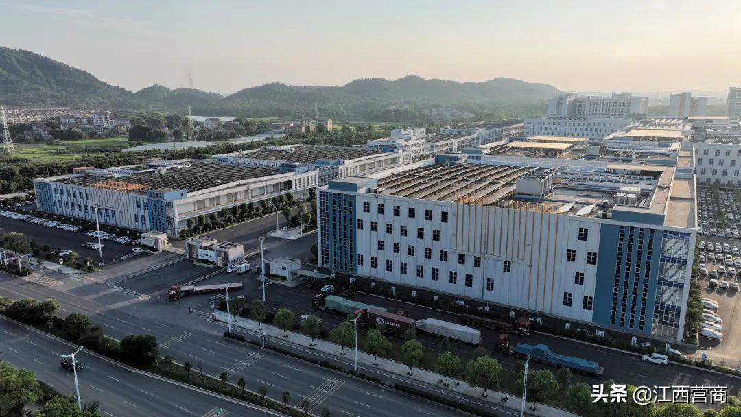 吉安县：激活发展动能助力企业“老树发新枝”