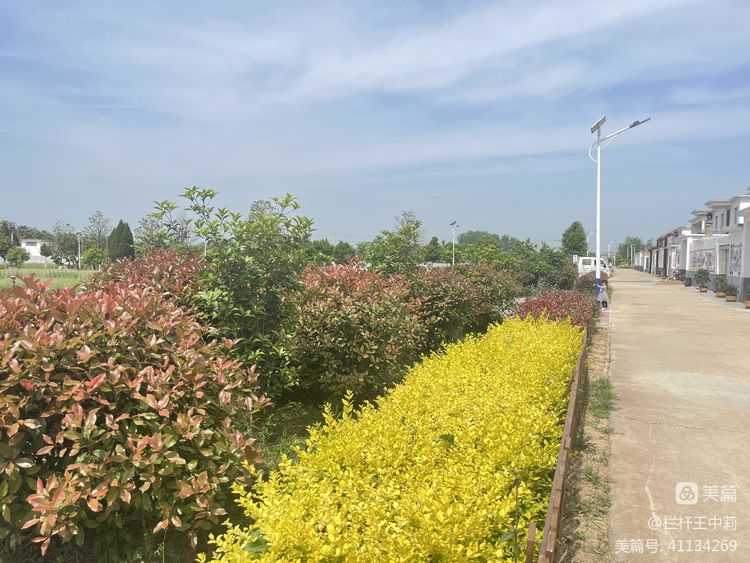 平安淮滨新变化丨淮滨县栏杆街道:喜迎二十大,夸夸我的家乡王湾新变化