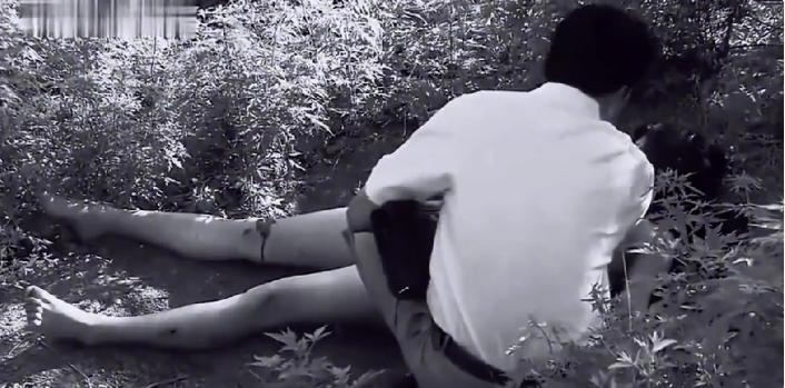 小树林里的神秘女尸案件聚焦,小树林的女尸案