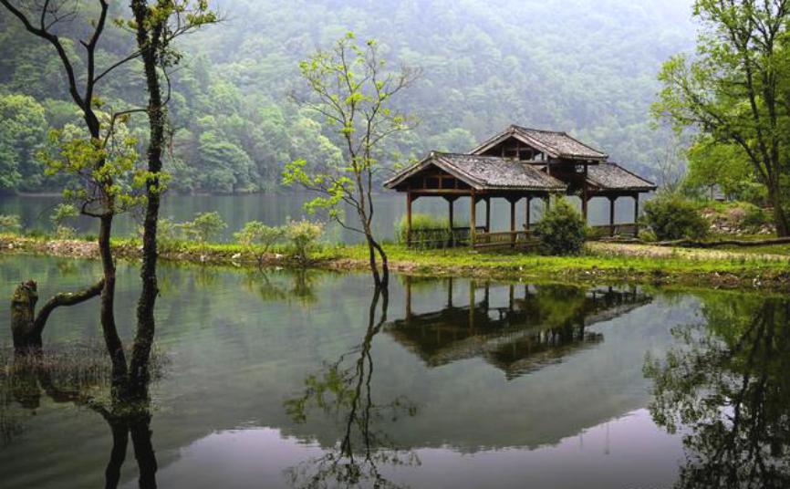 永修香米的故事,江西九江永修香米