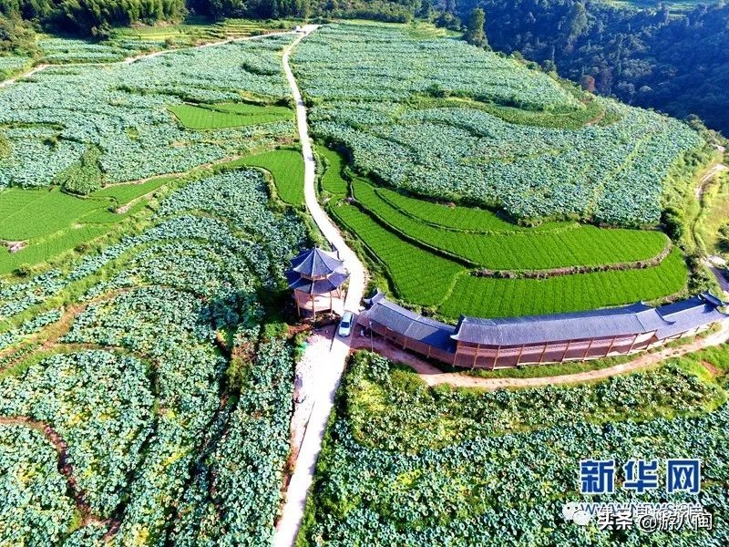 世界最大的梯田,世界梯田之最