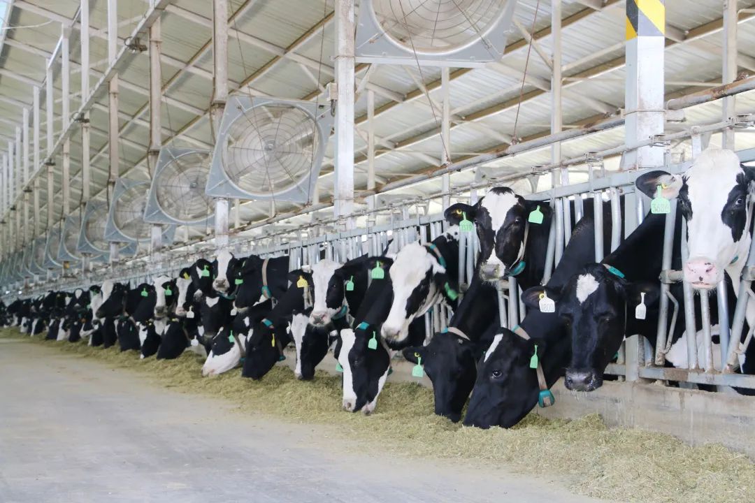 君乐宝威县乐源君享,君乐宝农场纪录片