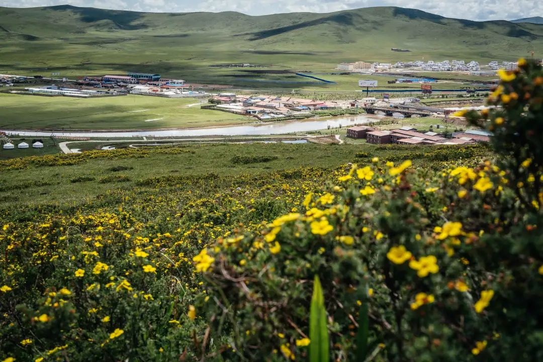 甘南什么意思,甘南县为什么叫甘南县