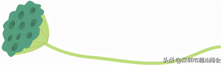 我与深圳的故事全集,我和深圳的创业故事