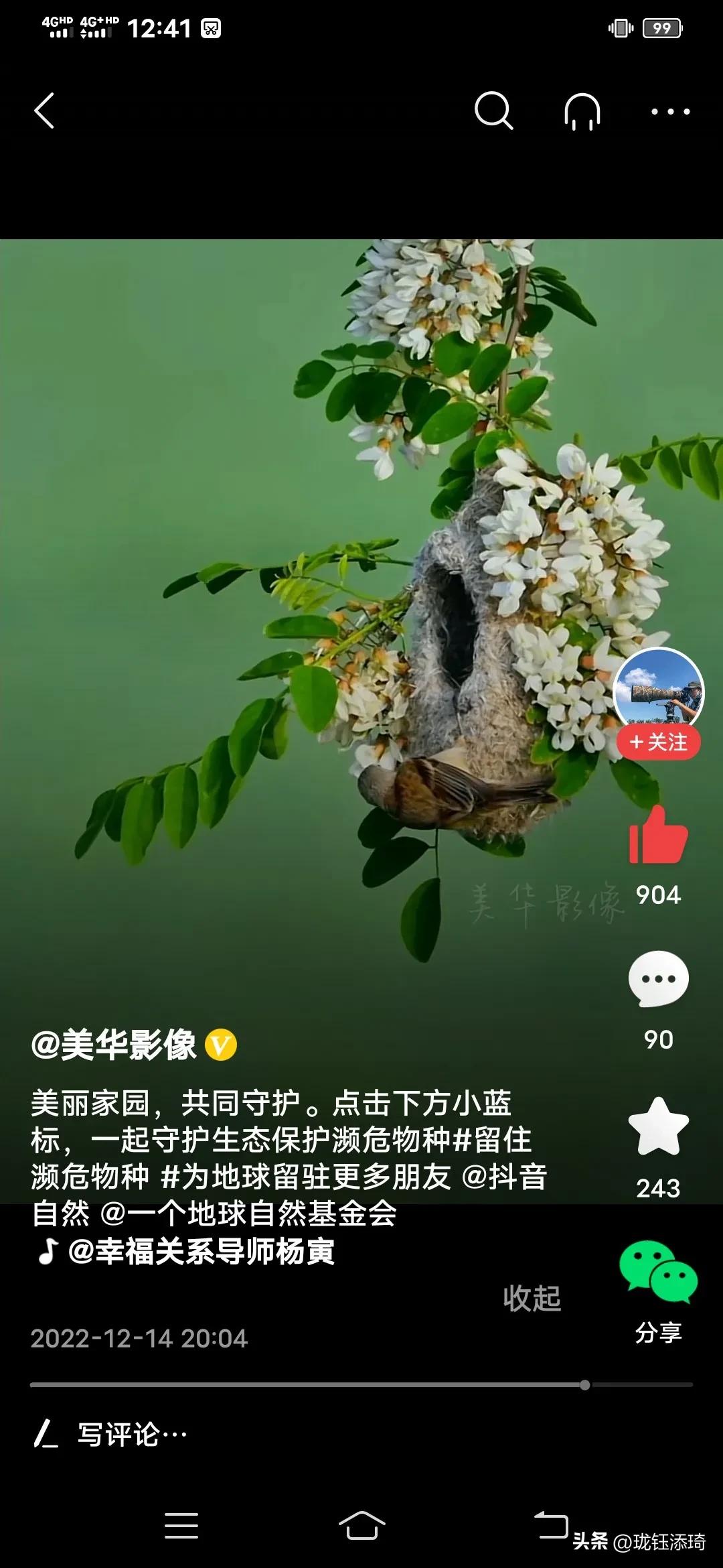 这是我见过的鸟儿最美的房子没有之一