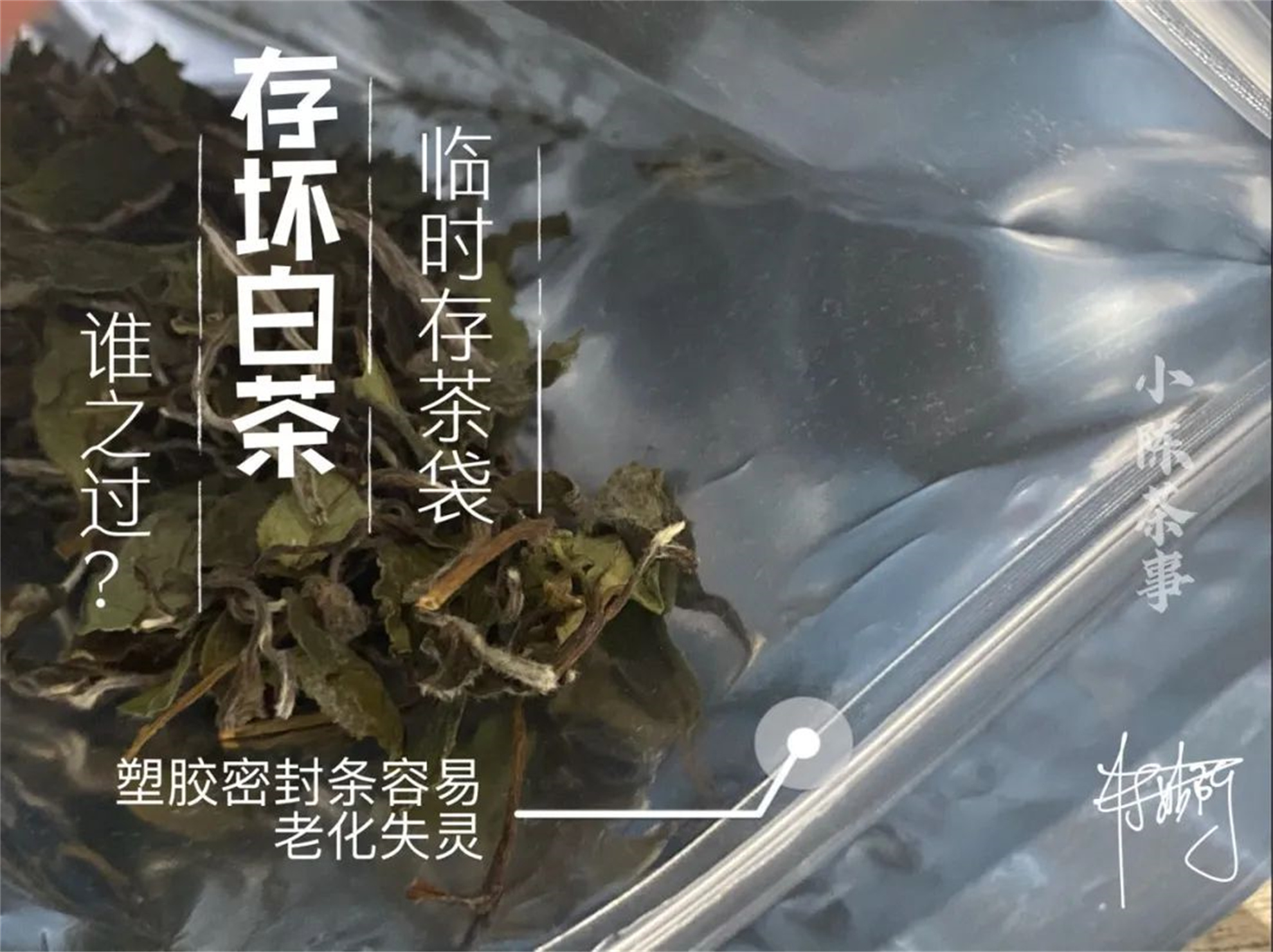 用防潮袋密封存茶可以吗,密封袋里的茶怎么储存