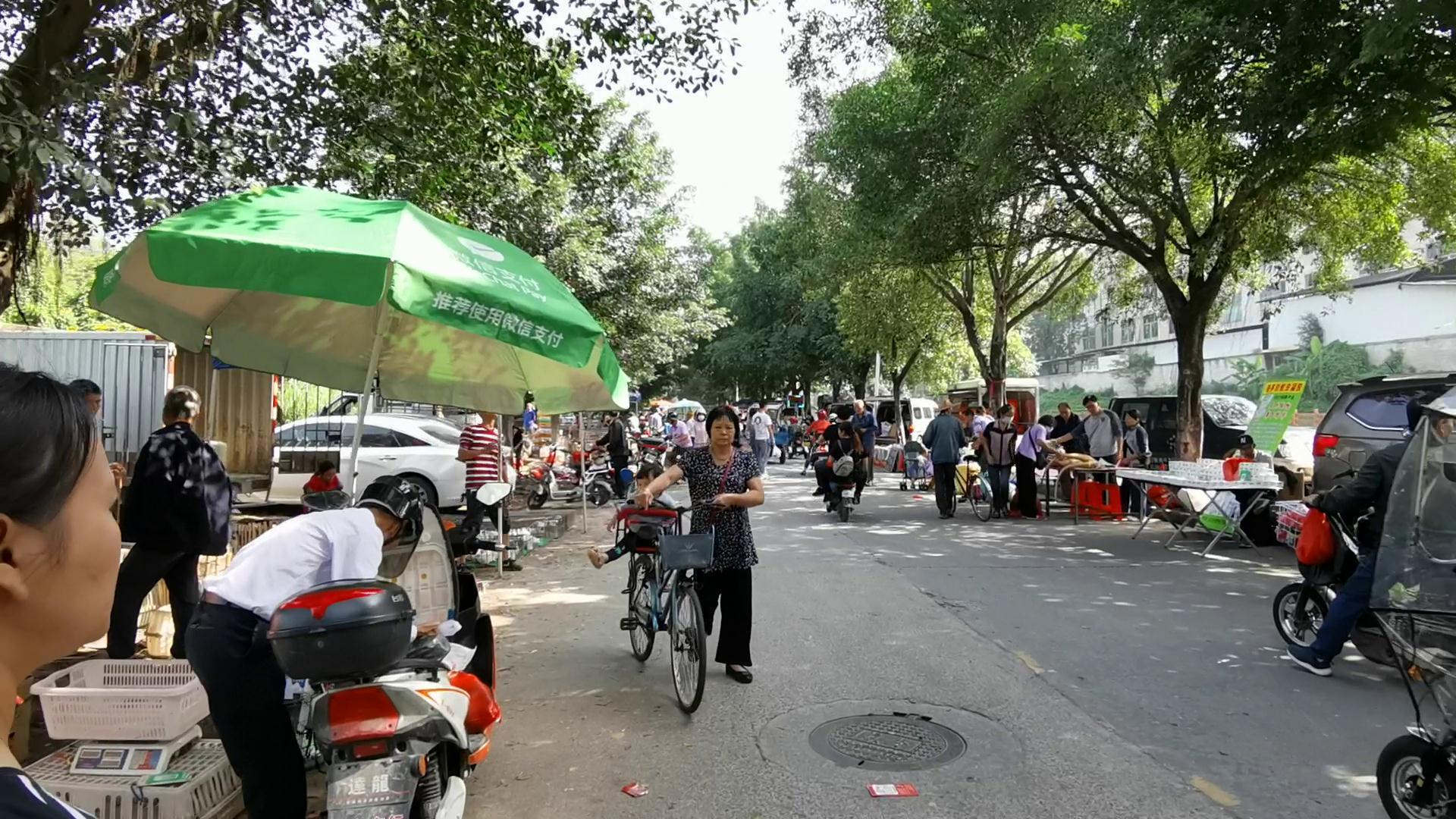 你有多久没“趁墟”了？看看广州以及周边有哪些热闹的传统墟市