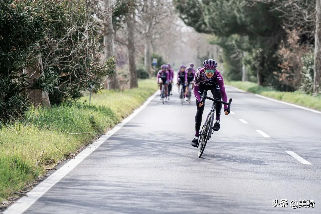 2021金单车奖丨7款优秀自行车产品揭晓