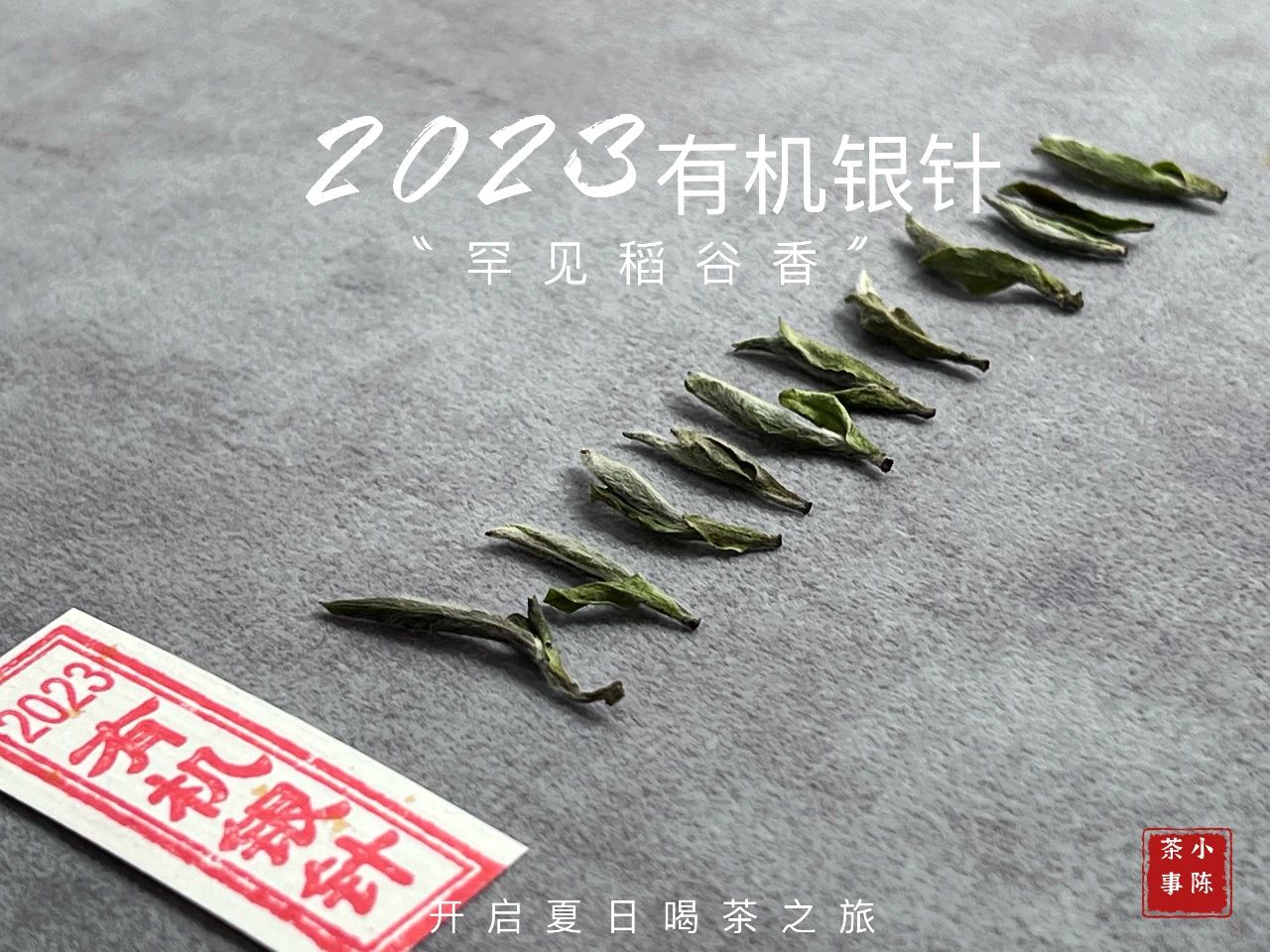 白茶白毫银针与白牡丹哪个好,白茶是买白毫银针还是寿眉牡丹王