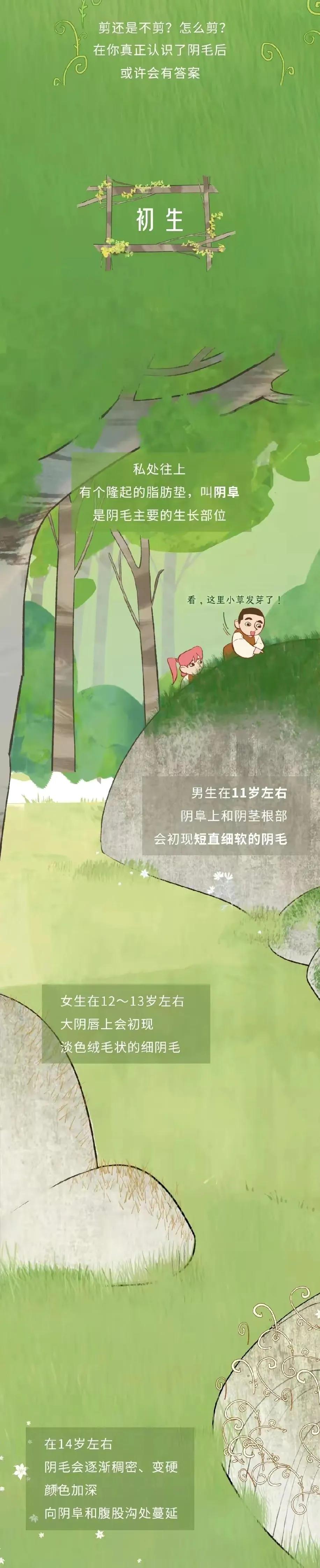 漫画分享：人类阴毛从出生到脱落的全过程
