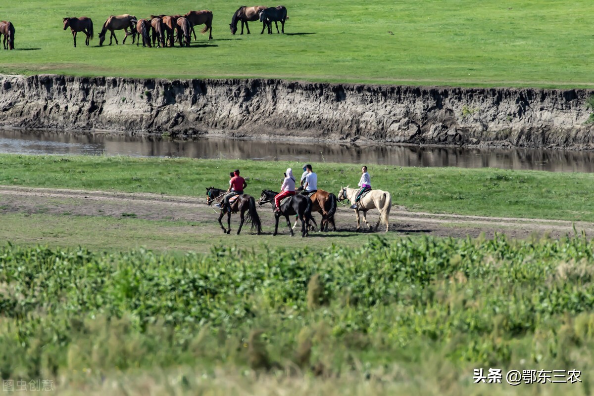 从农村走出来的医学专家,从农村走出来的科学家