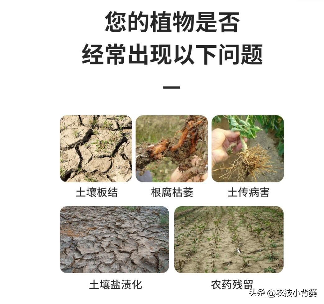 菌剂跟菌肥有什么差别,菌剂和菌肥哪一种更好