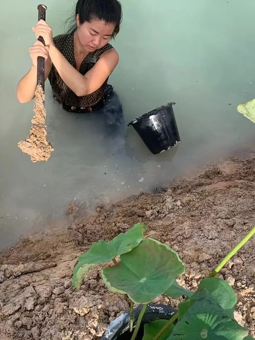 花光50万裸辞,花光50万