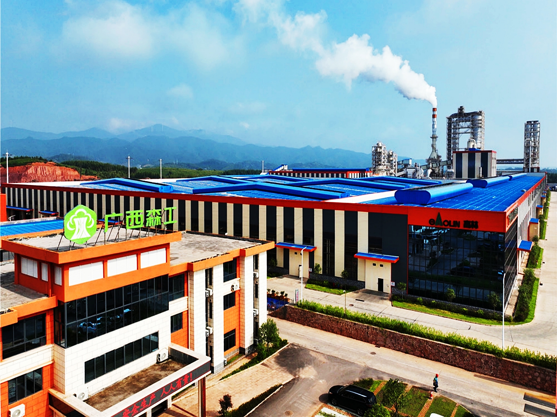 广西桉木加工的高端化之急