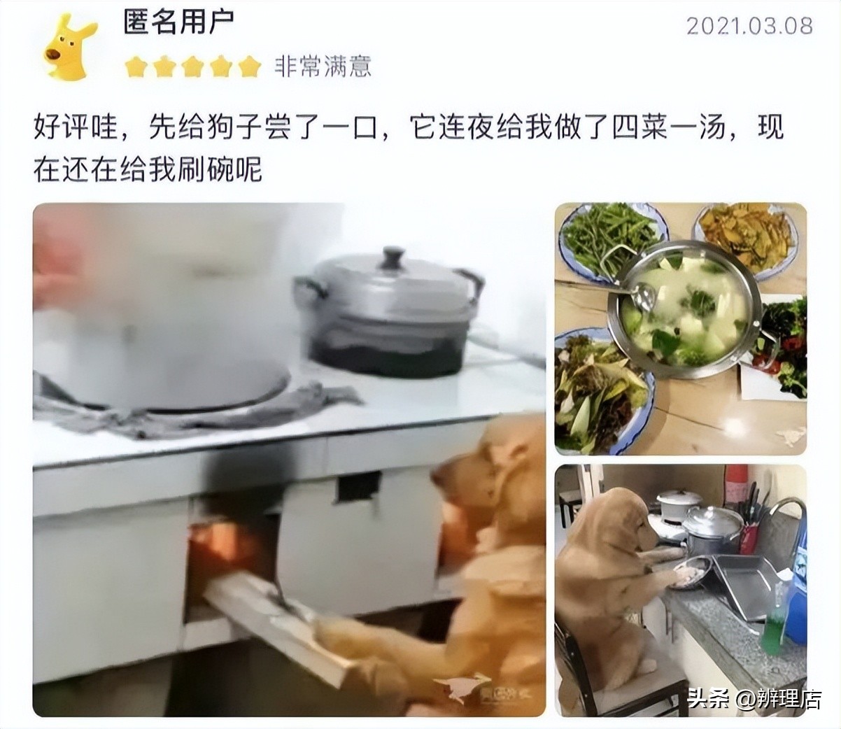 十大爆笑外卖差评回复,盘点外卖差评和商家回复搞笑