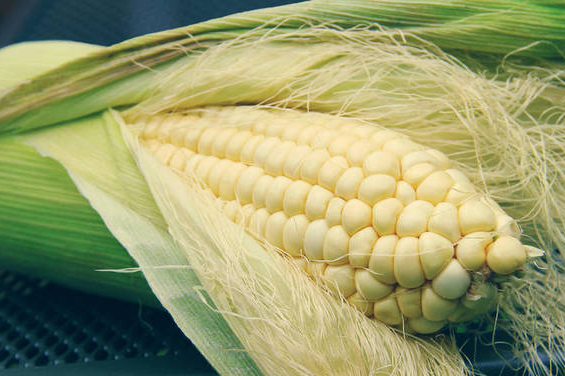 护眼叶黄素的正确吃法,护眼叶黄素零添加