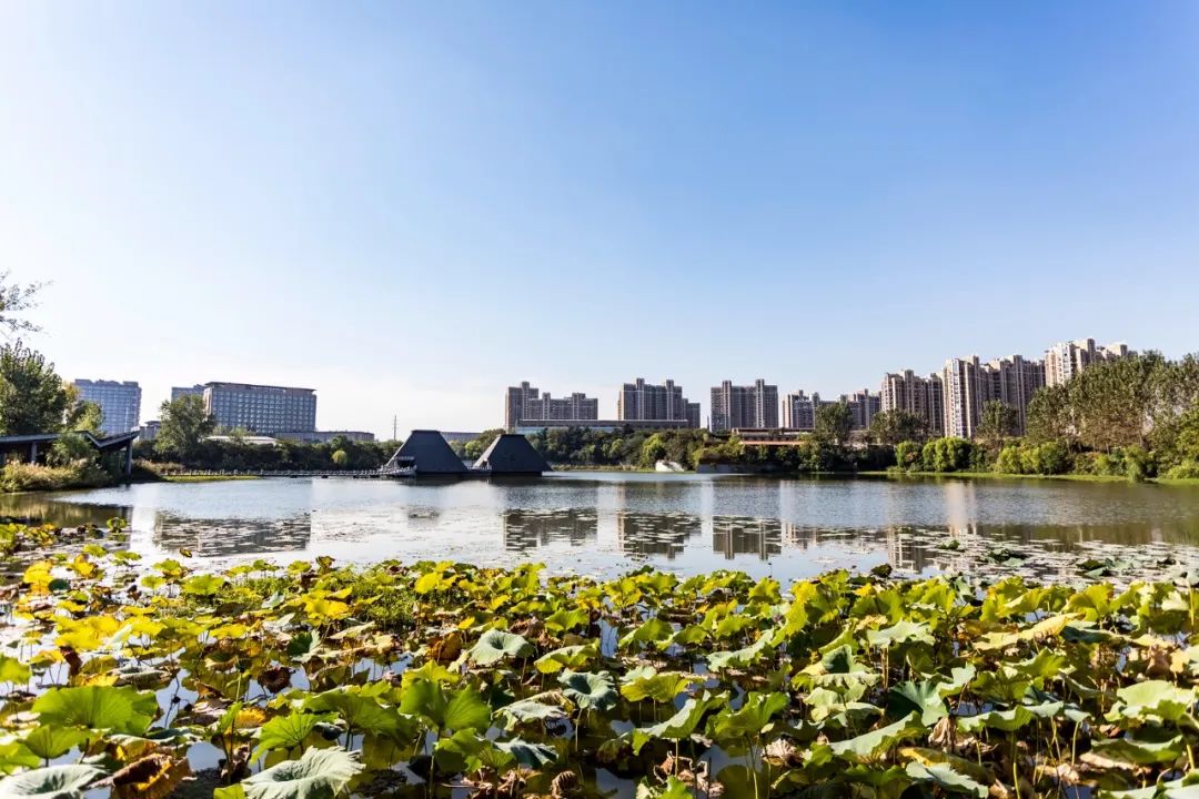 徐州哪个小区停车最难,徐州停车难