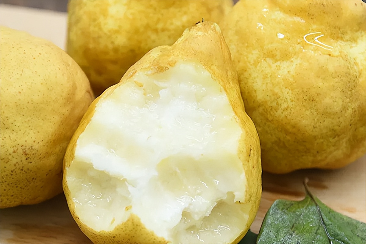 梨都有哪些品种什么梨最好吃,常见30种梨的区别及口感