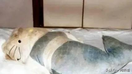 解密香港99年hellokitty藏尸案,hellokitty香港藏尸案