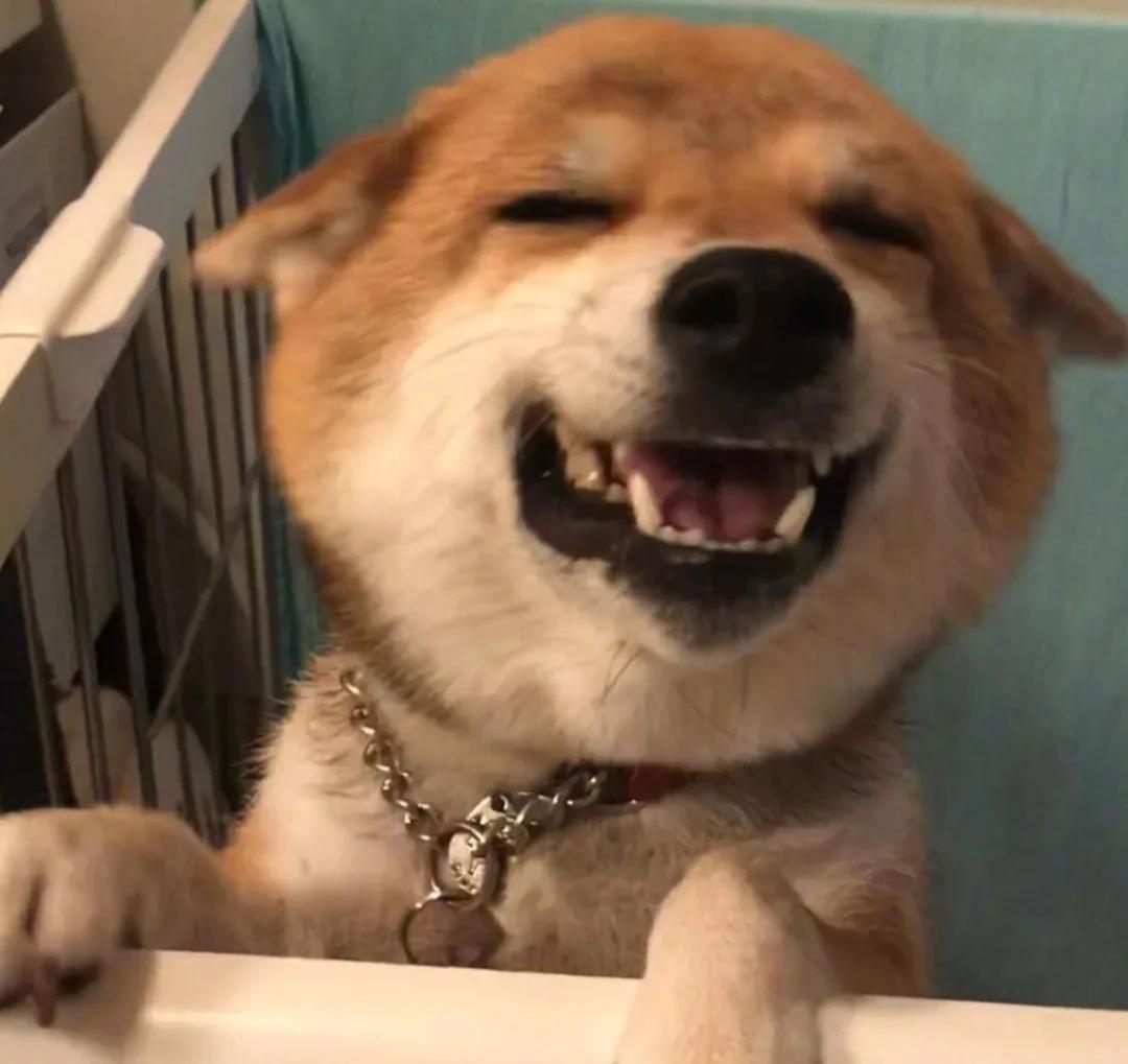 开学焦虑好想哭,开学焦虑心情压抑想哭难受