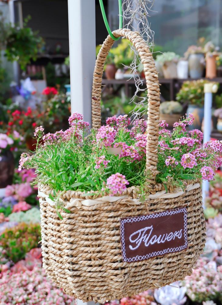 10个深圳花市，母亲节送花，不如带妈妈去看花海