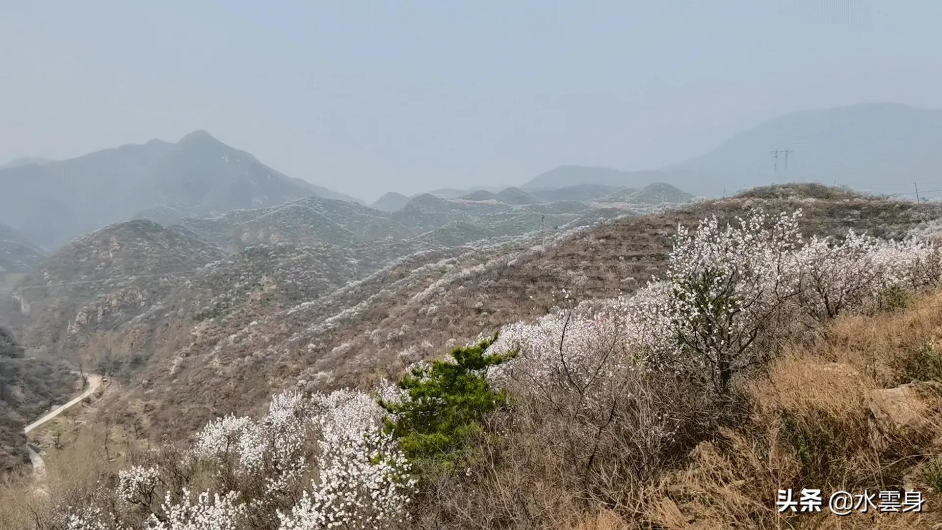 洞头网红打卡点最美公路,门头沟网红公路