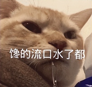 猫咪疯狂的吃猫砂,猫咪吃的猫砂是怎么做的