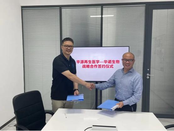 再生医学强强联合！华源再生与华诺生物开启战略合作