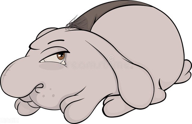 小兔子游泳儿童故事,可爱的小兔子游泳