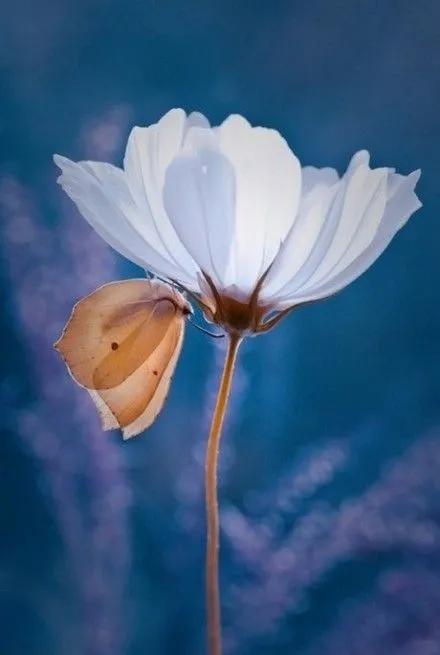 当爱情被欺骗了怎么办,当婚姻里出现了谎言和欺骗