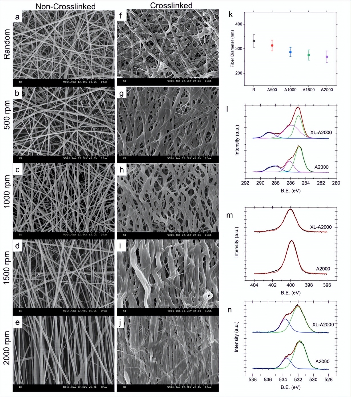 「科研快报」基于静电纺丝的PCL/明胶支架模拟皮肤ECM的抗菌敷料
