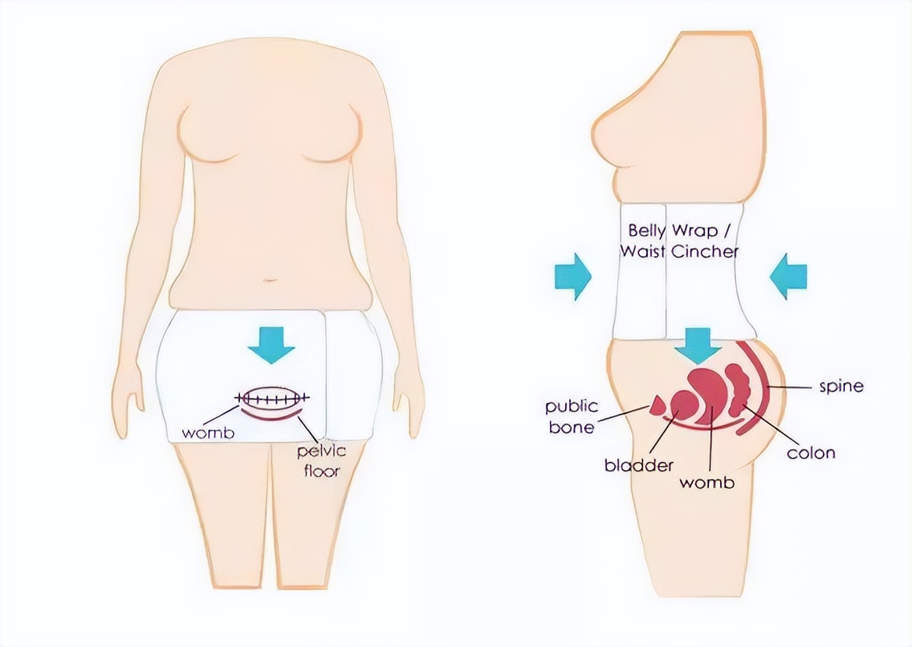 卷腹辅助带的用法,bengkung裙式绑腹带有用吗