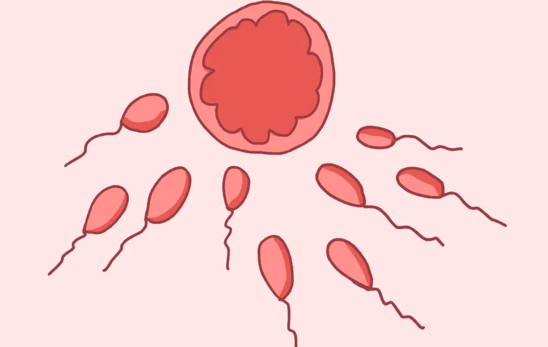 卡戴珊大姐考特尼4胎生了吗,卡戴珊公开谈备孕
