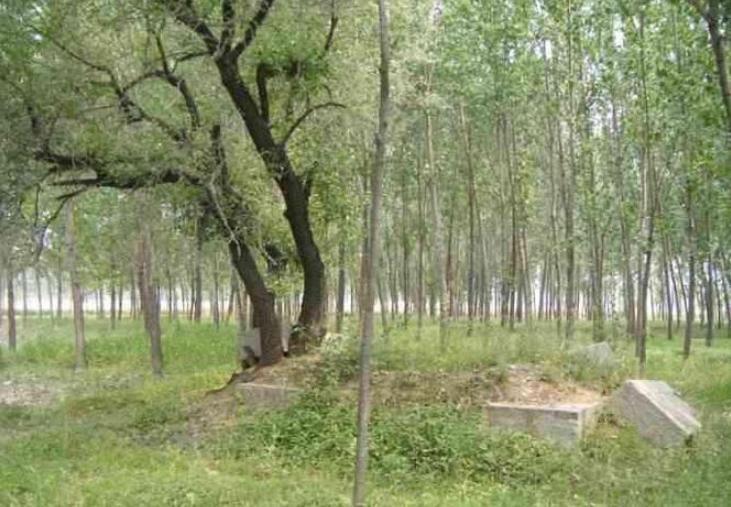 坟上有洞晚辈受穷,坟上有洞子孙穷