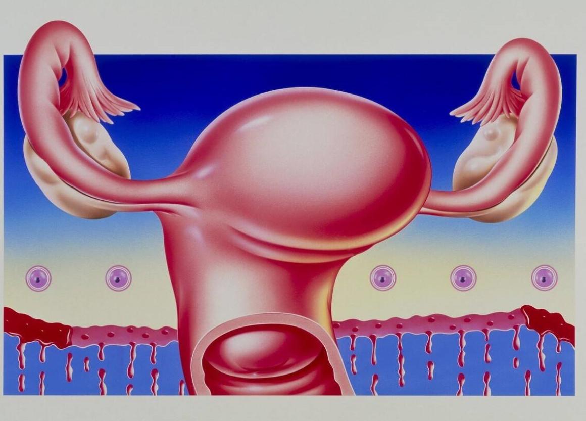 “夫妻生活”无法自拔？过度“*生活性**”有何危害，医生说出实情