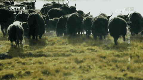 隐姓埋名于甘肃！它是中国最神秘“城市”，代号“404”，却值得所有人记住......