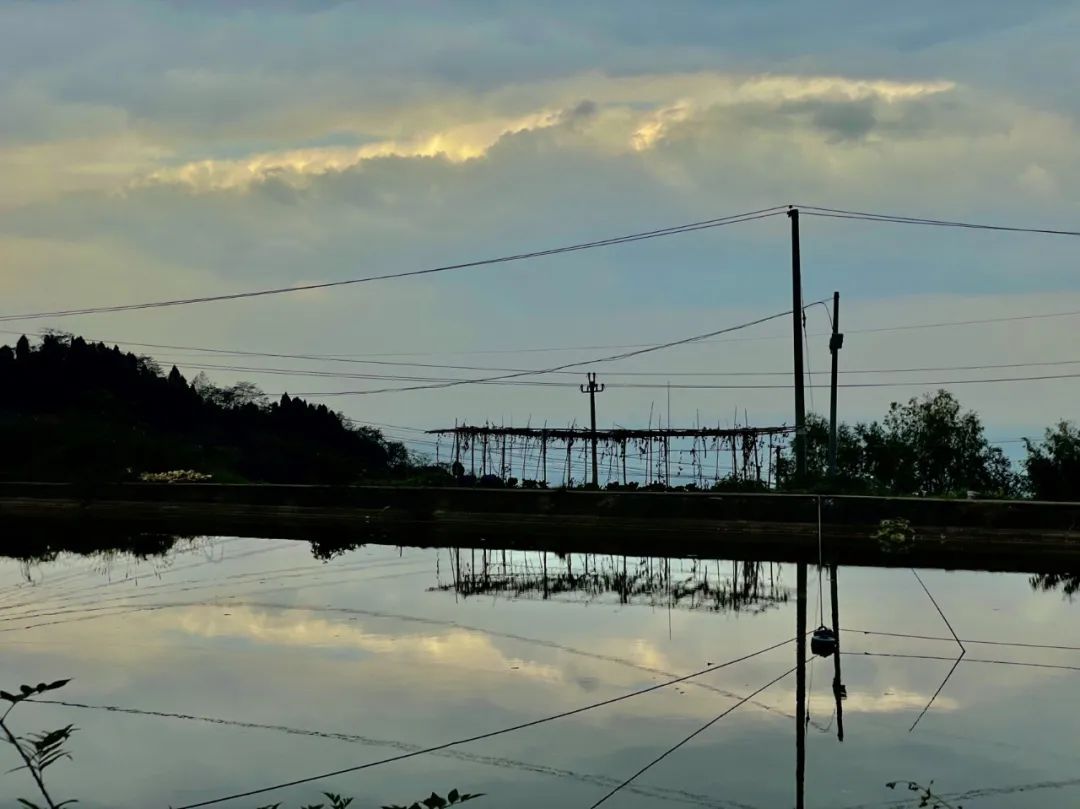 成都旅游豌豆尖,成都仰天窝近郊爬山推荐