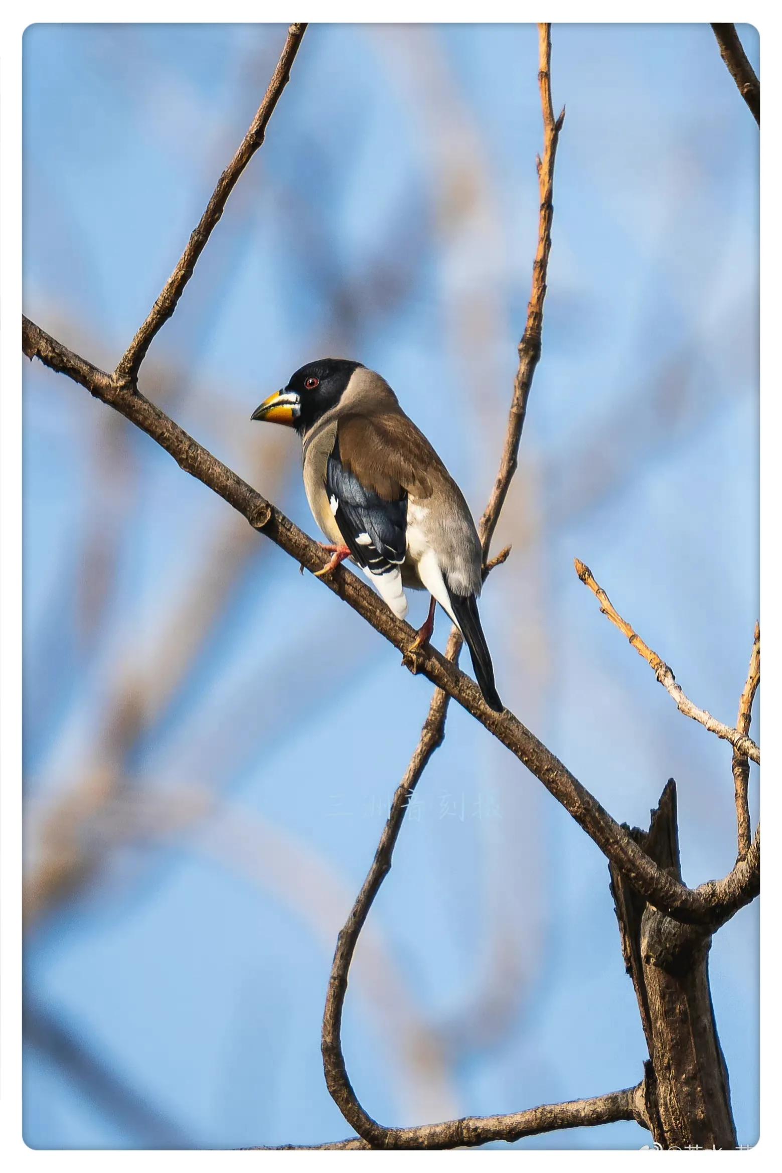上海市嘉定区安亭国际汽车城,上海嘉定安亭国际汽车城