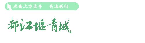 酒城泸州简介,酒城泸州介绍