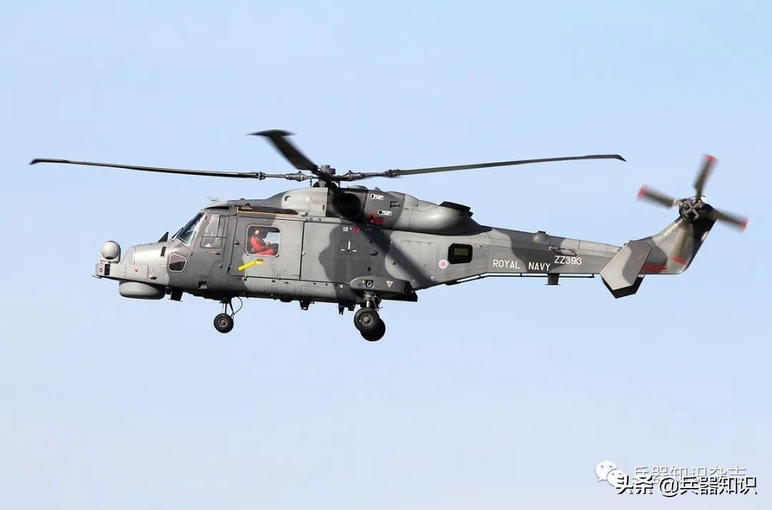 飞天的猫,飞天的猫和鱼