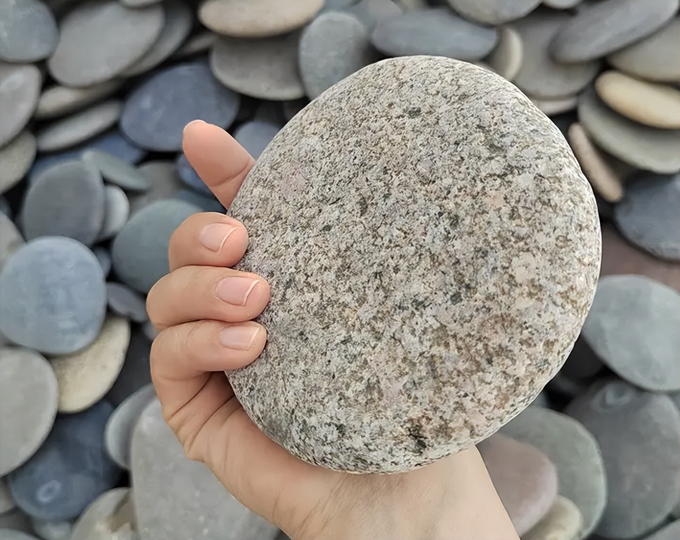 八十年代乒乓球台图片,70年代木制乒乓球台