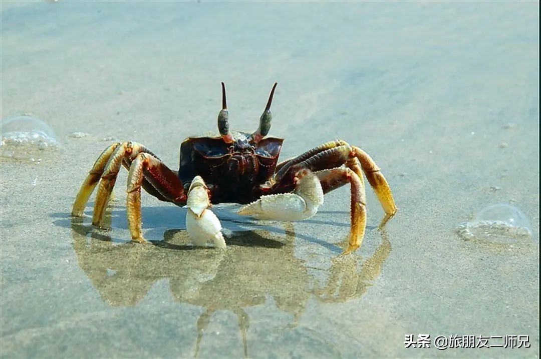 台山上下川岛风车山,台山下川岛旅游攻略自由行