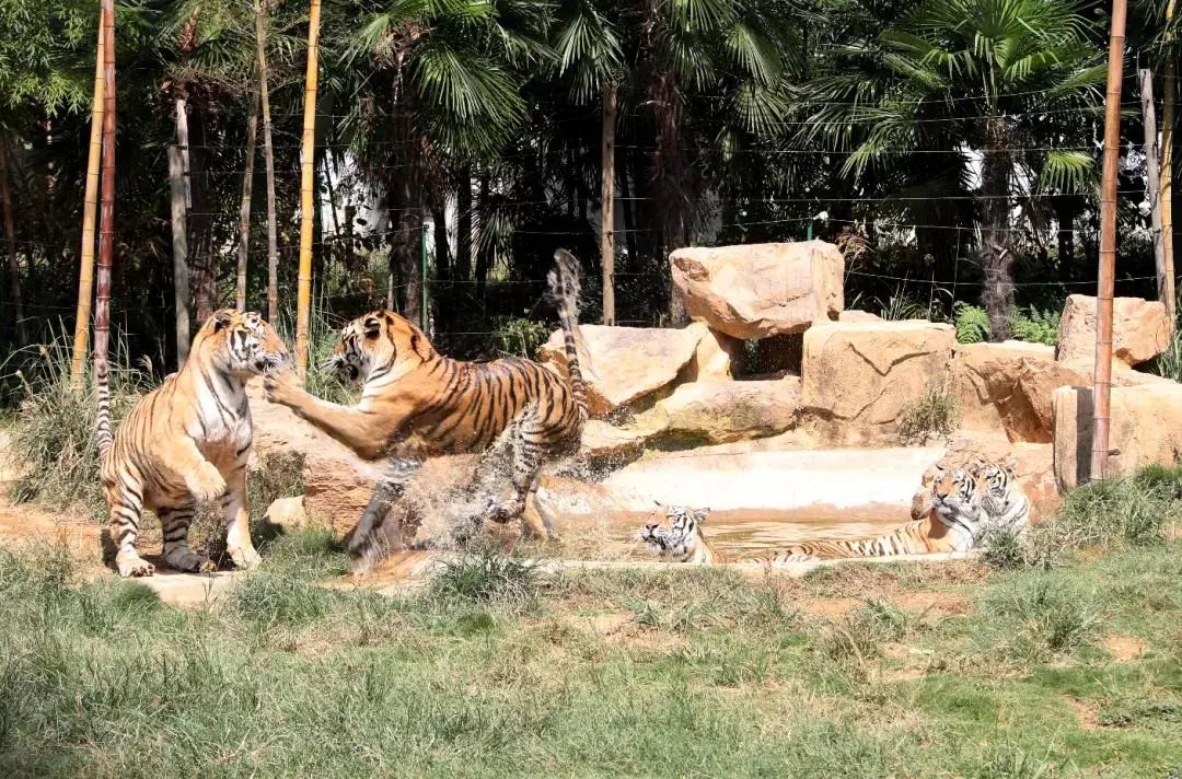 长沙美丽乡村附近有什么好玩的,长沙近郊自驾游最新十大景点