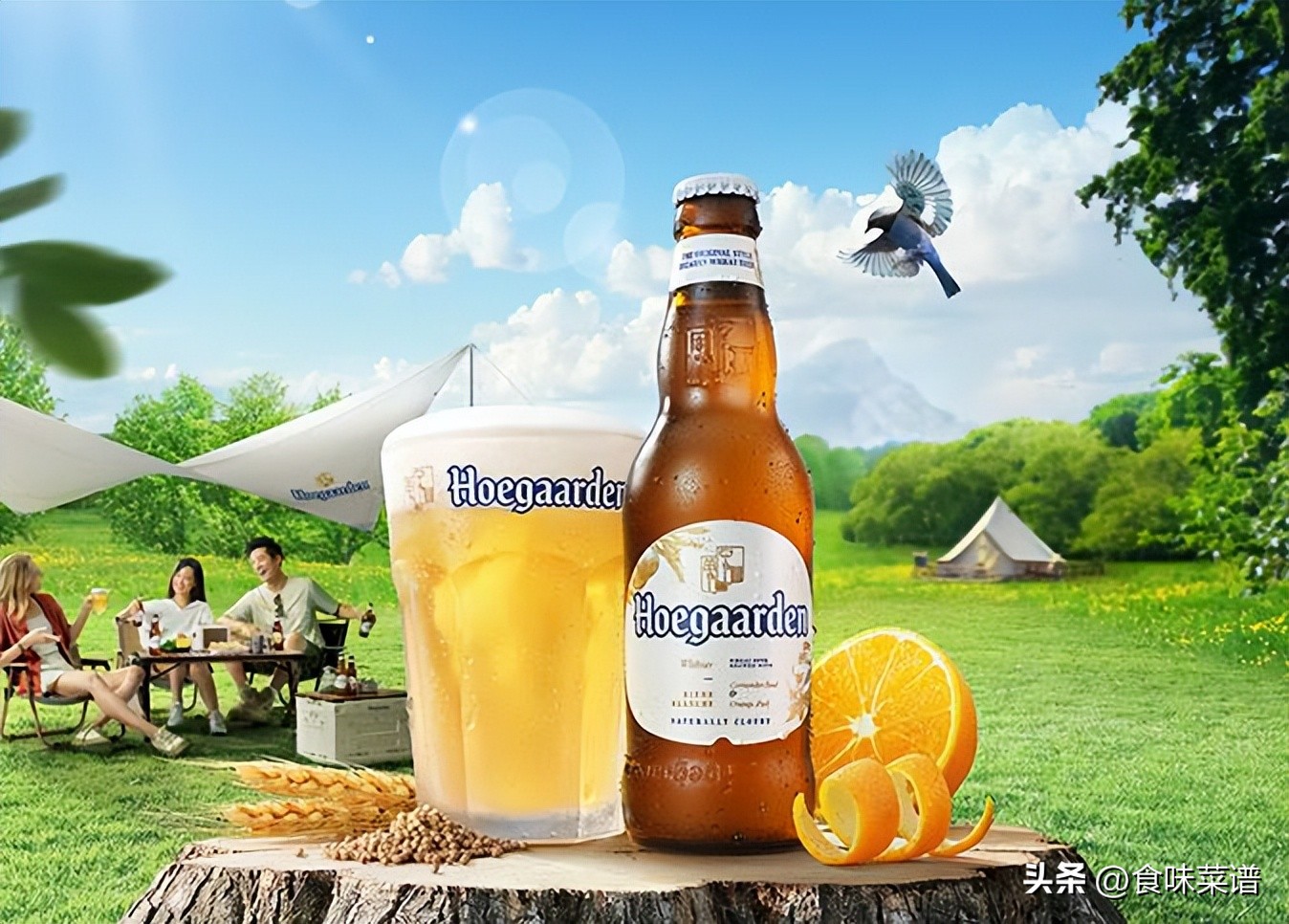 最适合中国的国外啤酒,常见的国外啤酒