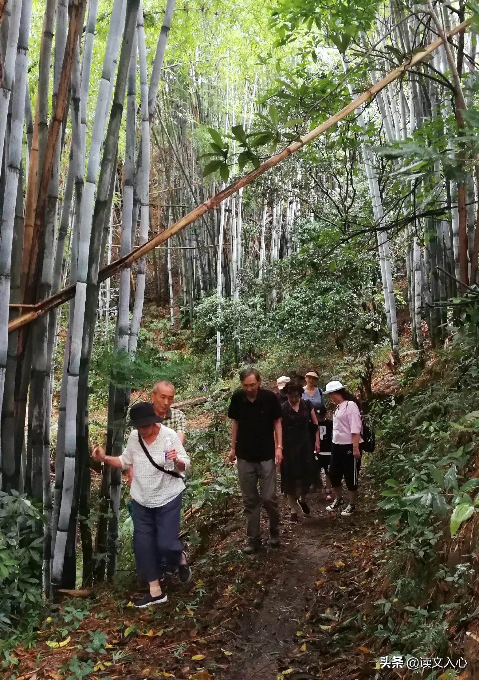 从化区南平静修小镇简介,南平静修小镇旅游文案