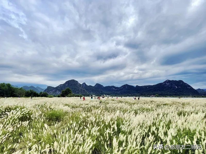 广州出发-英德1天游，美拍狗尾巴草，打卡巧克力小镇，千亩茶园