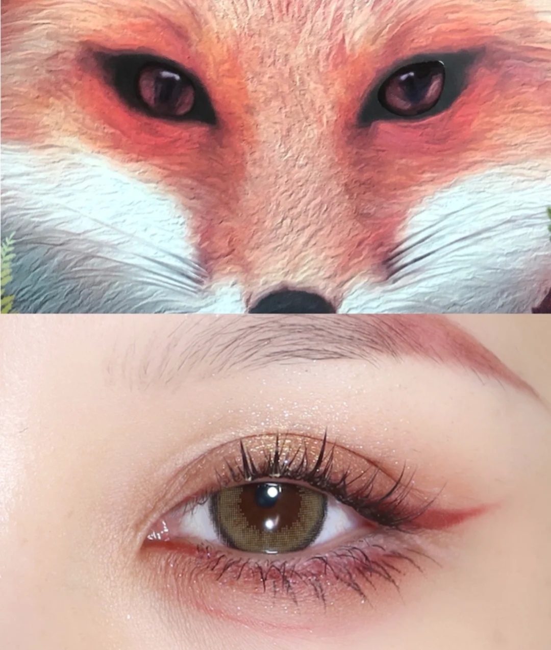 丹凤眼和狐狸眼和桃花眼什么样子,桃花眼男生适合找什么眼型女生