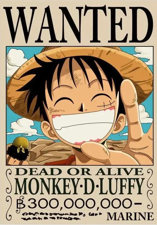 五本海贼王小说,海贼王同人小说500万字