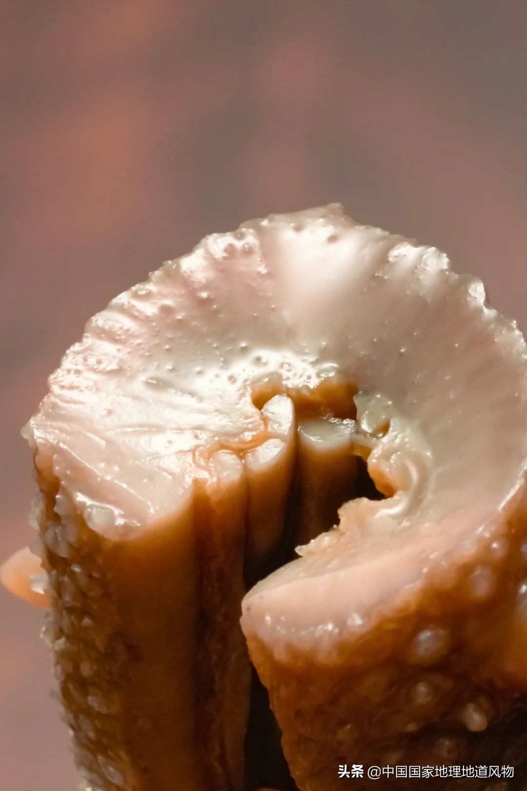 辽宁哪个地方的海鲜最好,辽宁各市都有啥海鲜